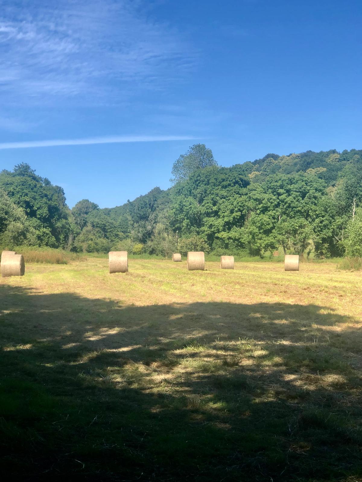 Prairie avec bottes de foin dans la vallée de Lopérec, paysage breton typique