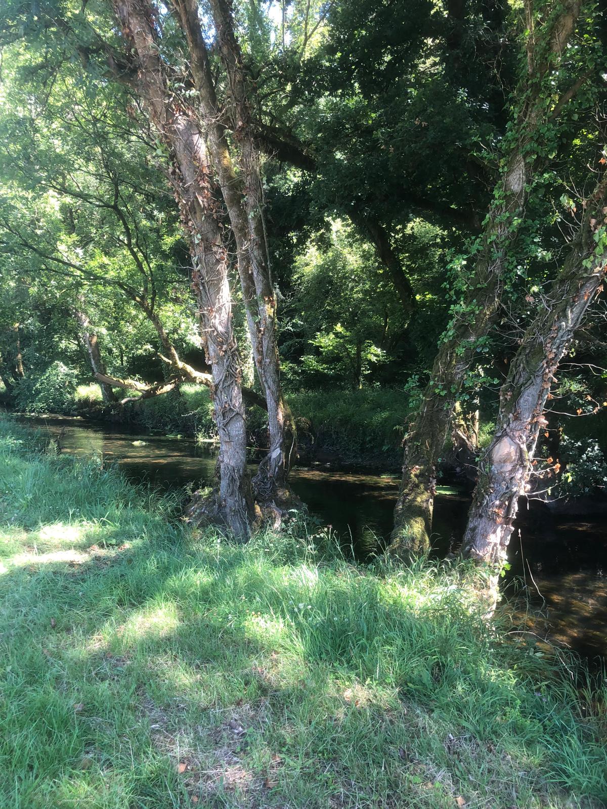 Berge ombragée du Dourdu, végétation dense