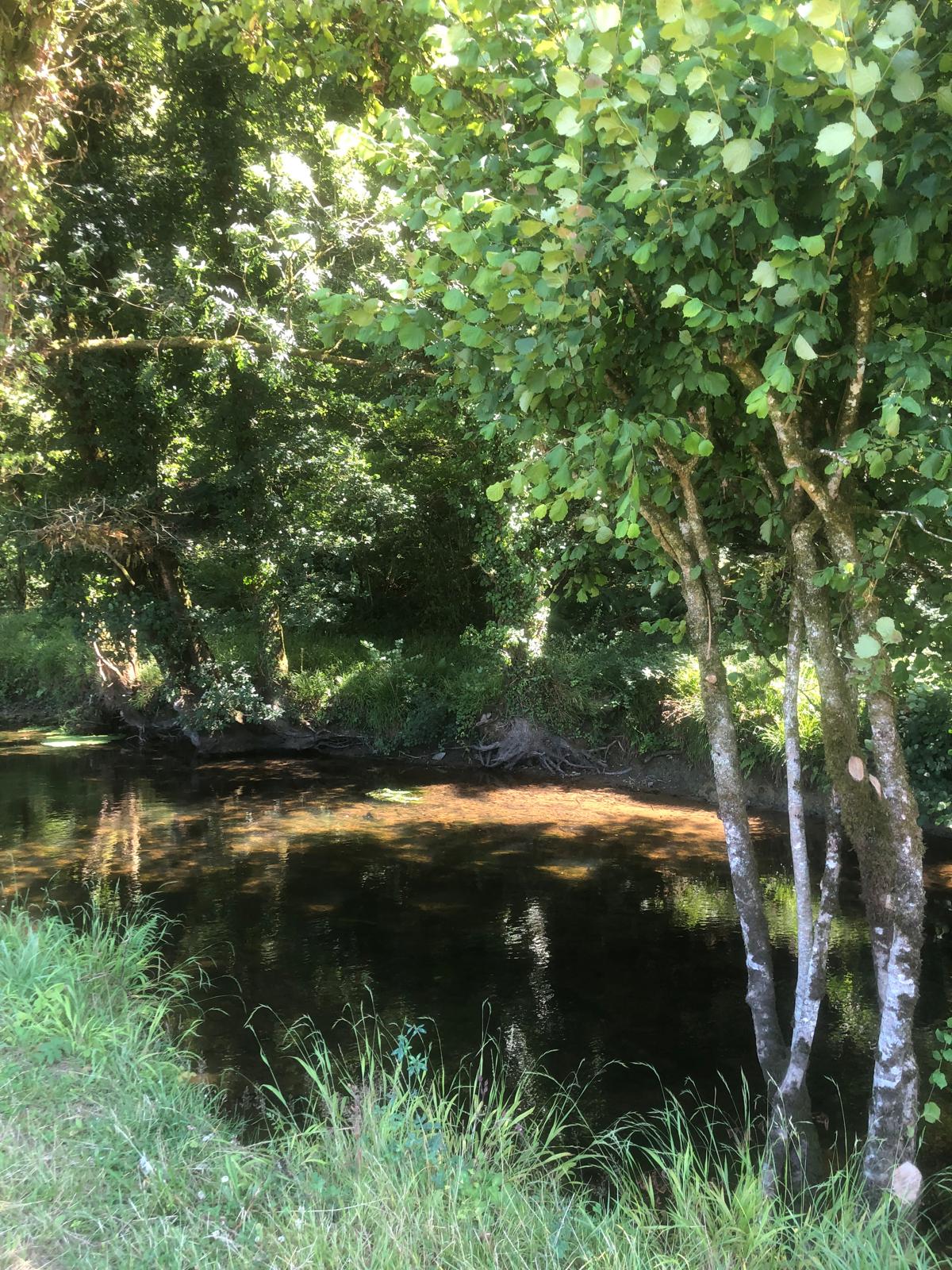 Rivière du Dourdu avec reflets dorés et bouleaux en automne