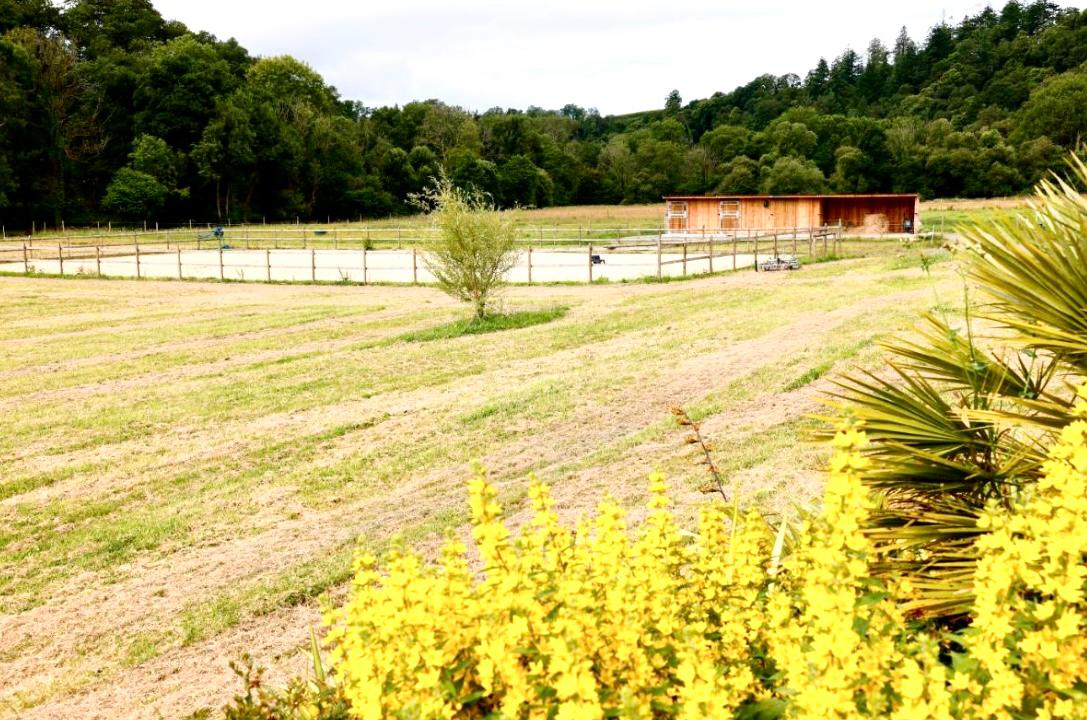 Vue d'ensemble de la carrière équestre en sable avec prairies