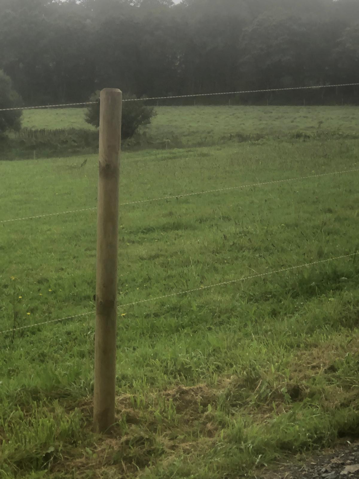 Paddock cloture avec poteaux en bois